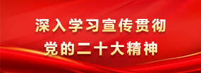 深入学习宣传贯彻党的二十大精神